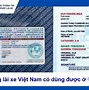 Bằng Lái Xe Canada Có Dùng Được Ở Việt Nam Không