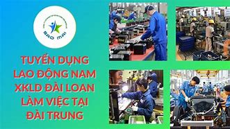 Đơn Hàng Xklđ Đài Loan 2022 Pdf Tiếng Việt Pdf Download Free