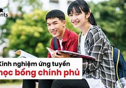 Học Bổng Chính Phủ Ideas Là Gì 2024 Mới Nhất Download