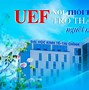 Học Phí Trường Đại Học Uef Năm 2024